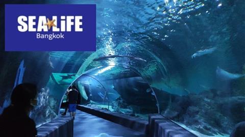 SEA LIFE Bangkok Ocean World
