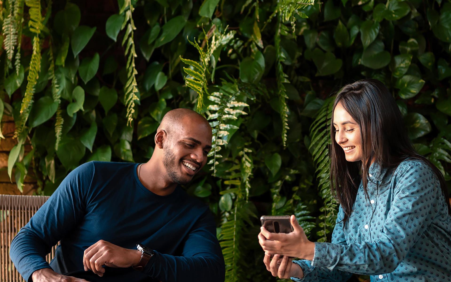 Receive a Carbon Offset Credit 圖像