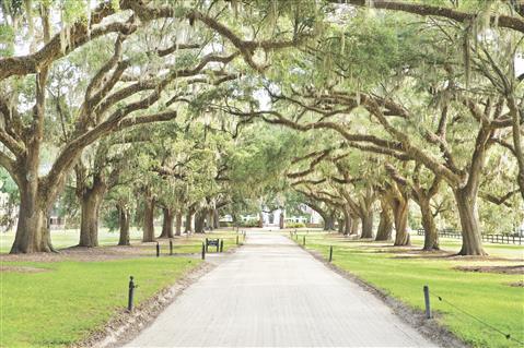 Plantación Boone Hall
