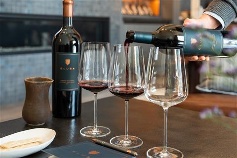 Elusa Wine Tasting