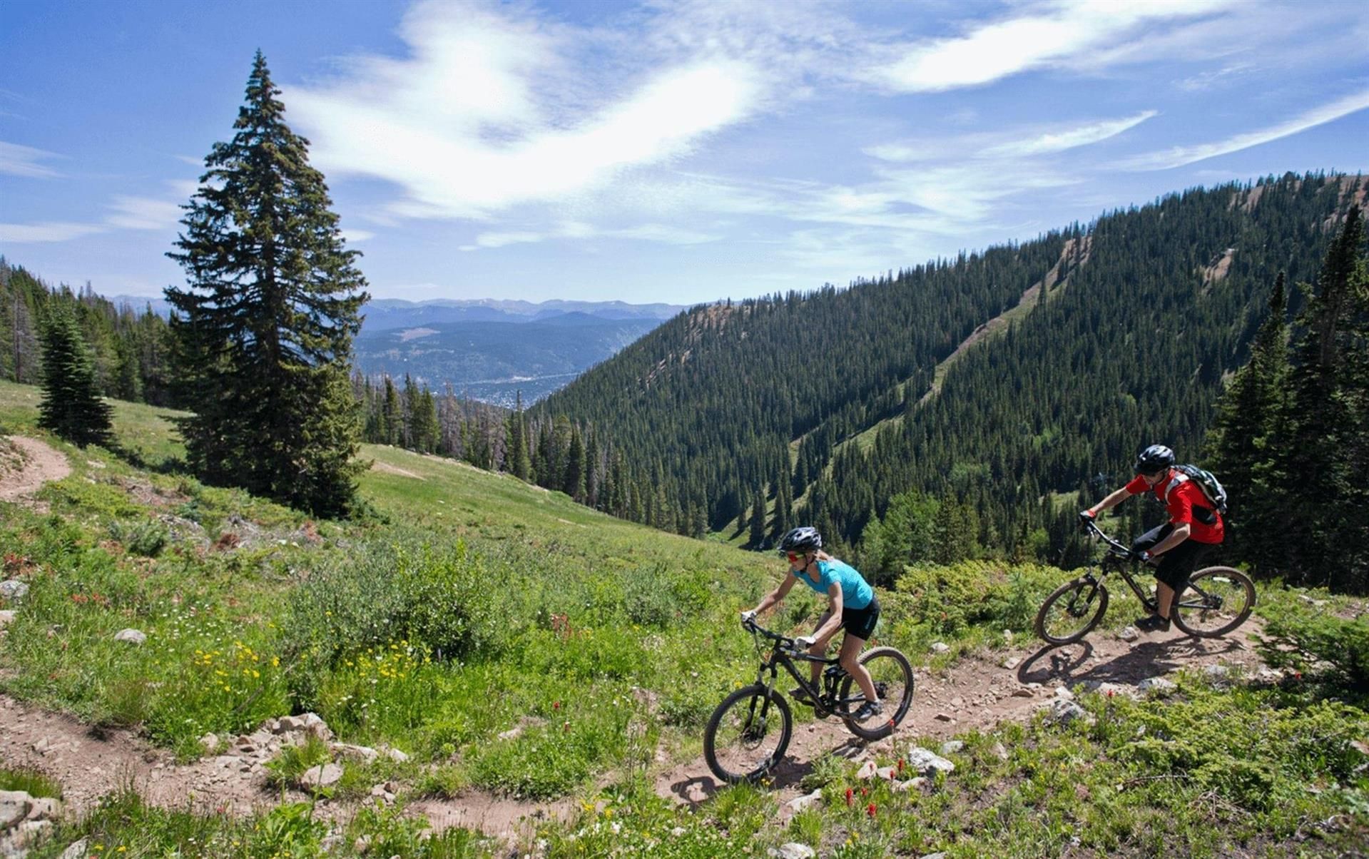 Bild på anläggning