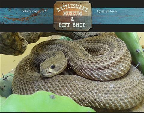 Rattlesnake Museum and Gift Shop
