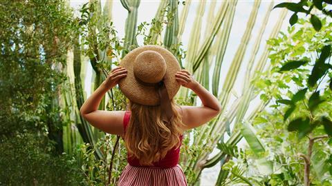 Botanischer Garten der Wüste