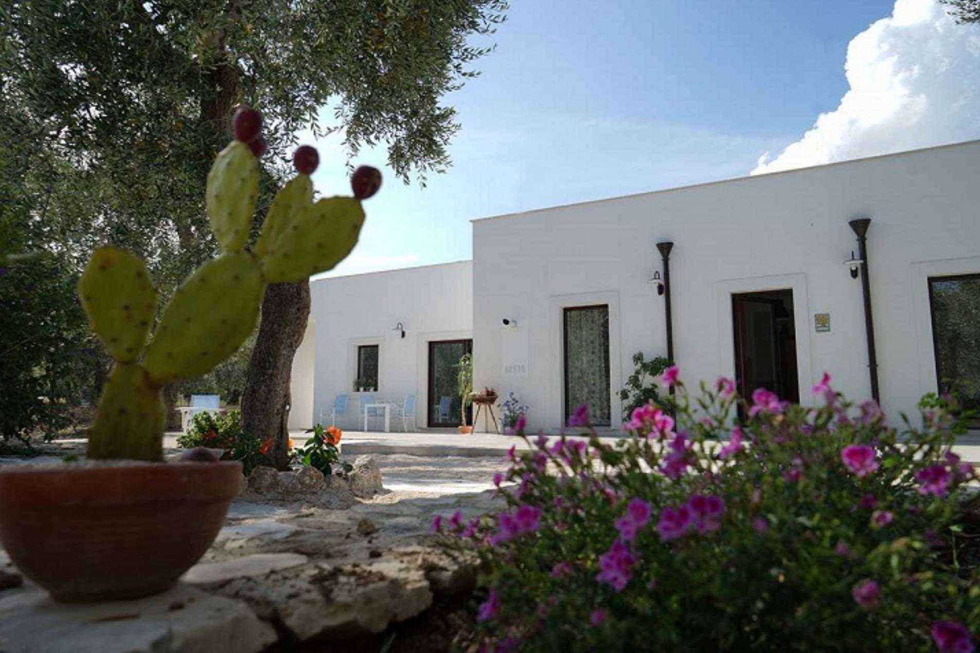 Tenuta Santa Maria i Mattinata, IT