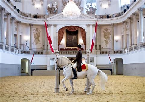 西班牙骑术学校