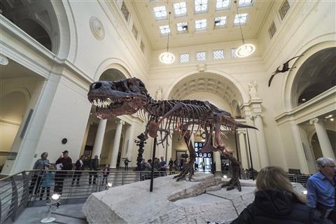 Field Museum of Natural History (1.8 Miles)