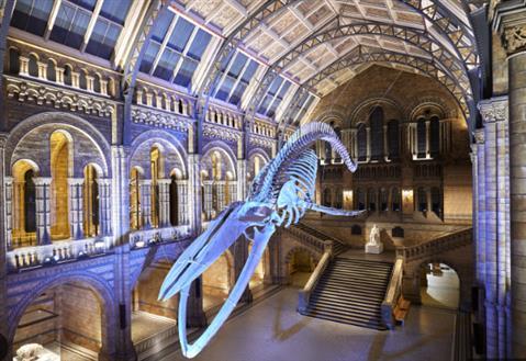 Natural History Museum