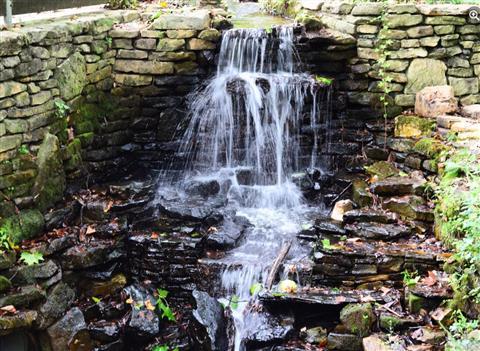 Donald E. Davis Arboretum