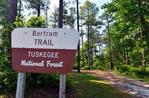 Tuskegee National Forest