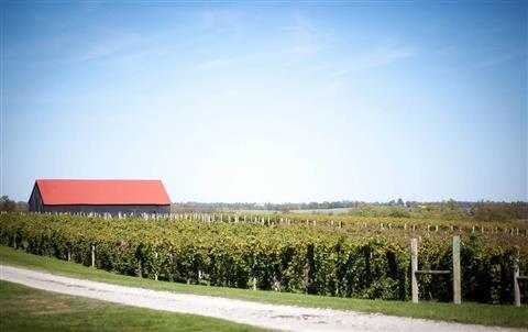 Talon Winery & Vineyards