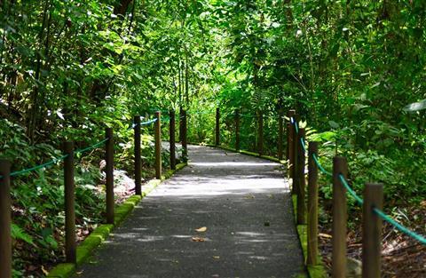 Carara National Park