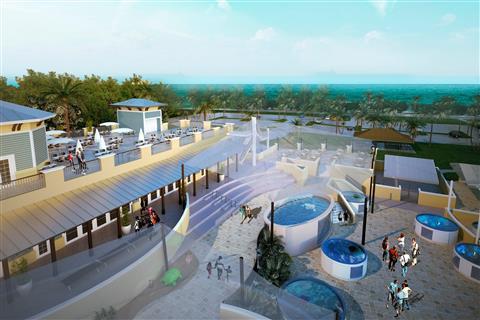 Loggerhead 海洋生物中心