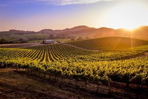 Napa/Sonoma Wine Country