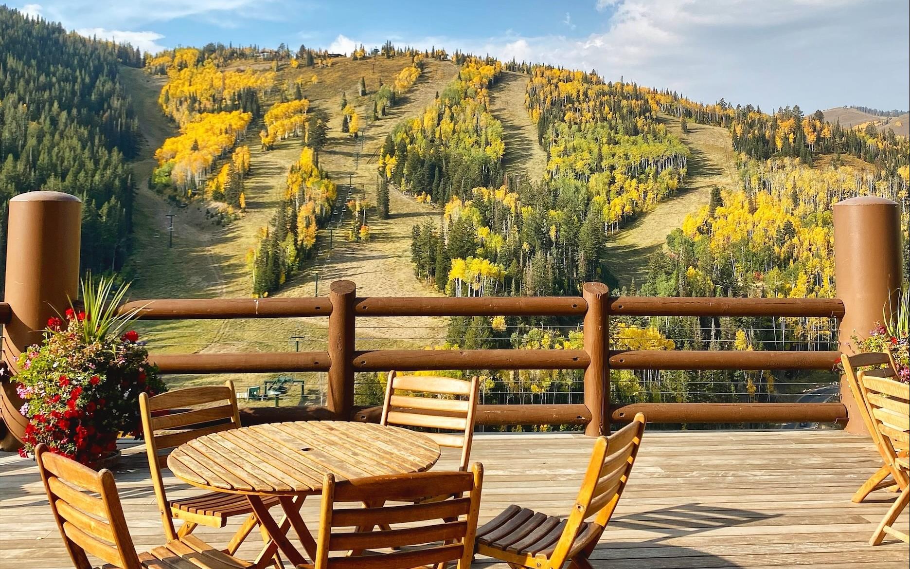 Imagen de promoción Reserve Exceptional Stays Over Remaining Dates