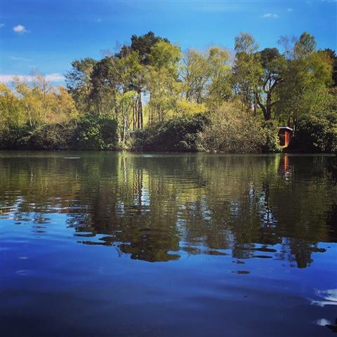 California Country Park