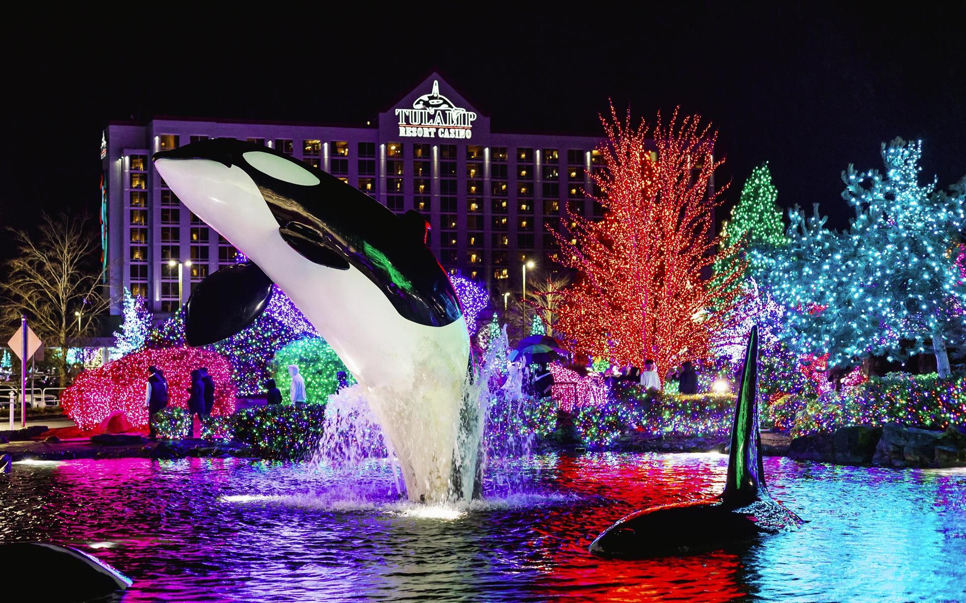 Winter Warm-Up - Group Offer 图像