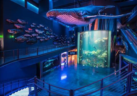 Wonders of Wildlife National Museum Aquarium