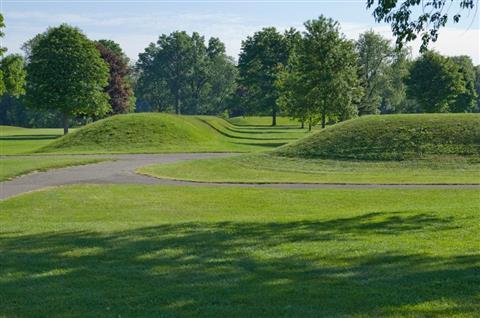 纽瓦克土方工程