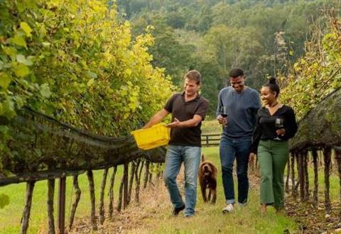 Virginia's Wine Country