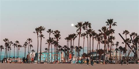 California Beach Activities