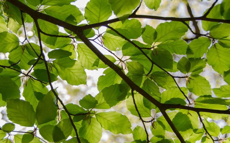 Imagem de promoção Spring into Savings