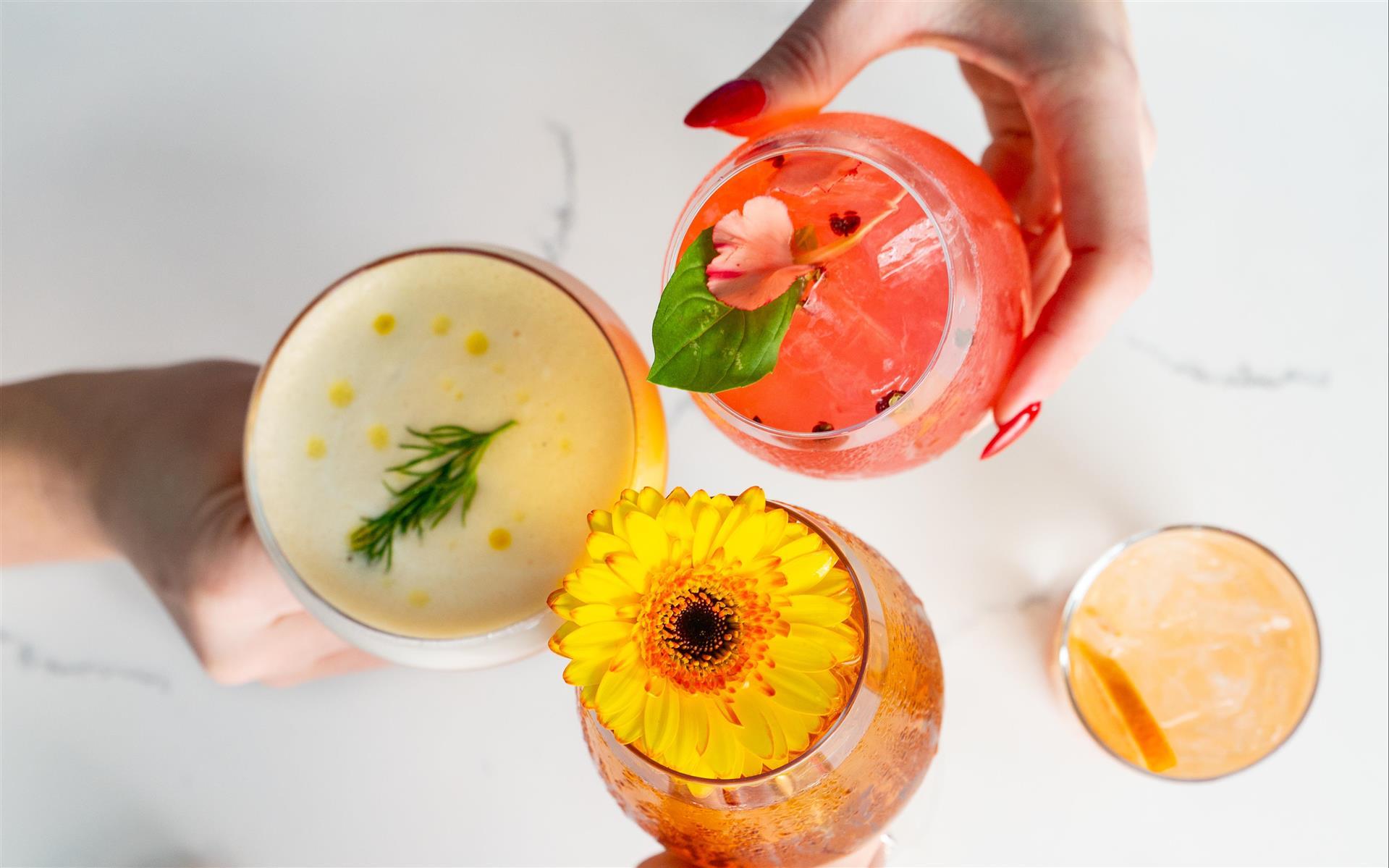 Immagine Social Catering – earn Double Bonvoy points