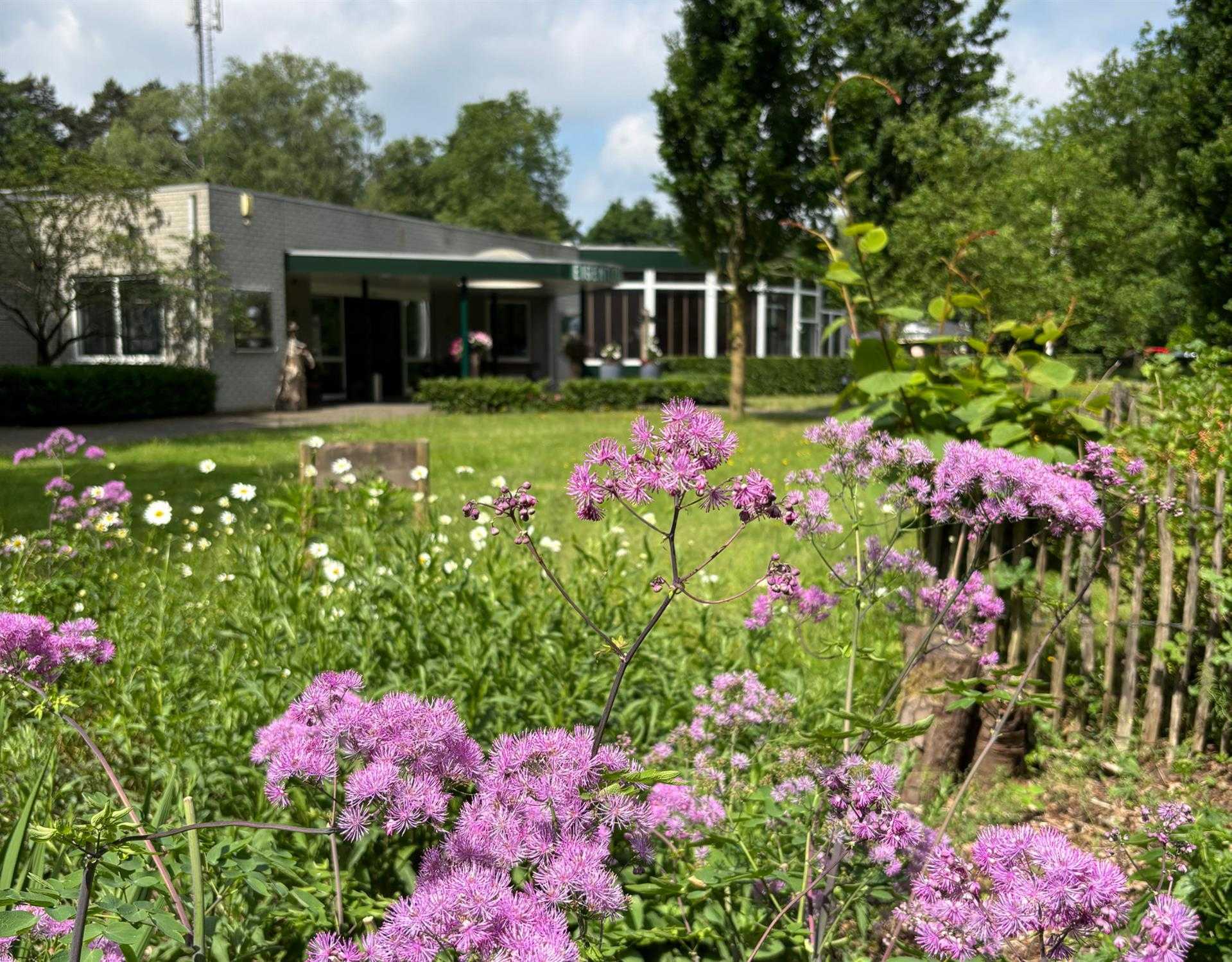 Eigentijdserf i Oirschot, NL
