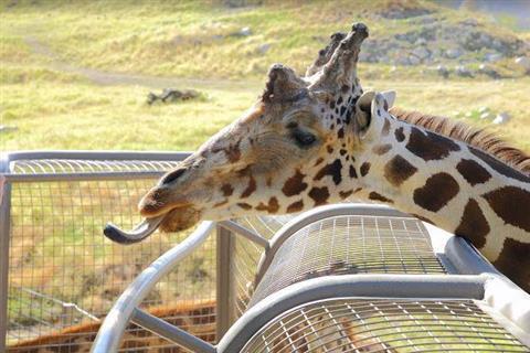 The Living Desert Wildlife Reserve
