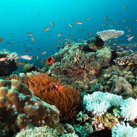 Adrenaline-pumping experiences