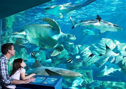 Oceanario