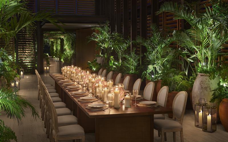 Imagem de promoção Step Beyond 2026