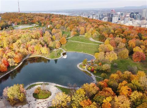 Mount Royal Park