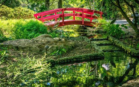 迈阿密海滩植物园