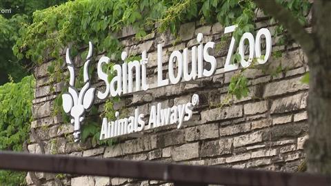 St. Louis Zoo