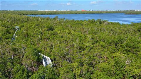 Anne Kolb Nature Center
