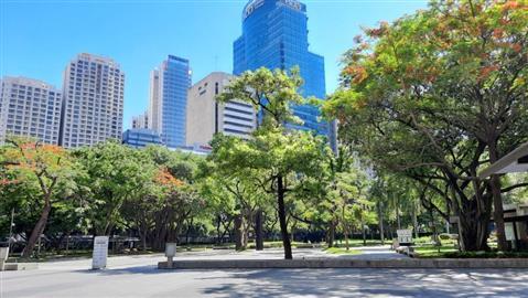 Ayala Triangle Gardens