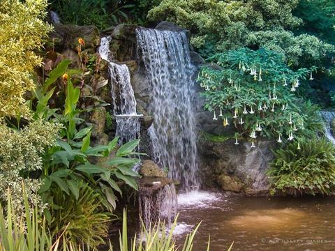 LA Arboretum & Botanic Gardens