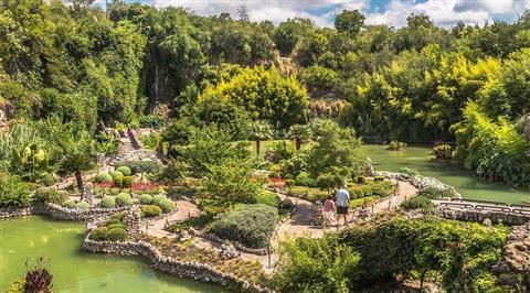 Japanese Tea Gardens