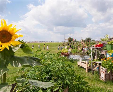 Tempelhofer Feld - a place for children to romp around!