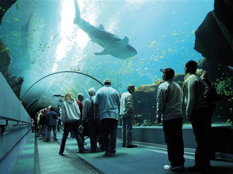 Georgia Aquarium