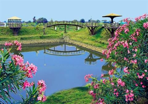 Japanese Rose Garden