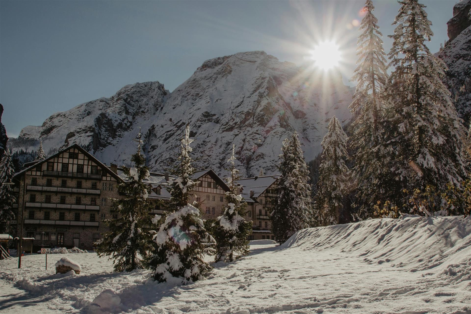 Test - Palmetto Resort image