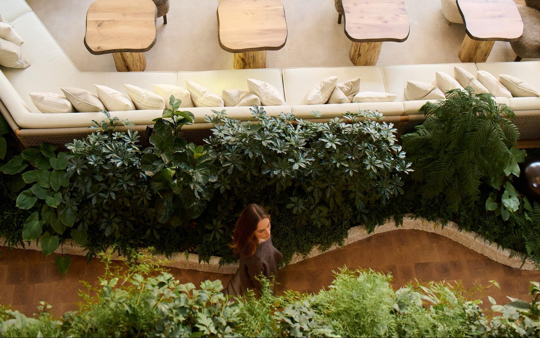 Imagen de promoción Boost Your Earnings with 1 Hotel Copenhagen!