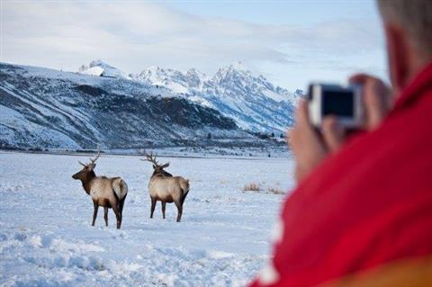 National Elk Refuge