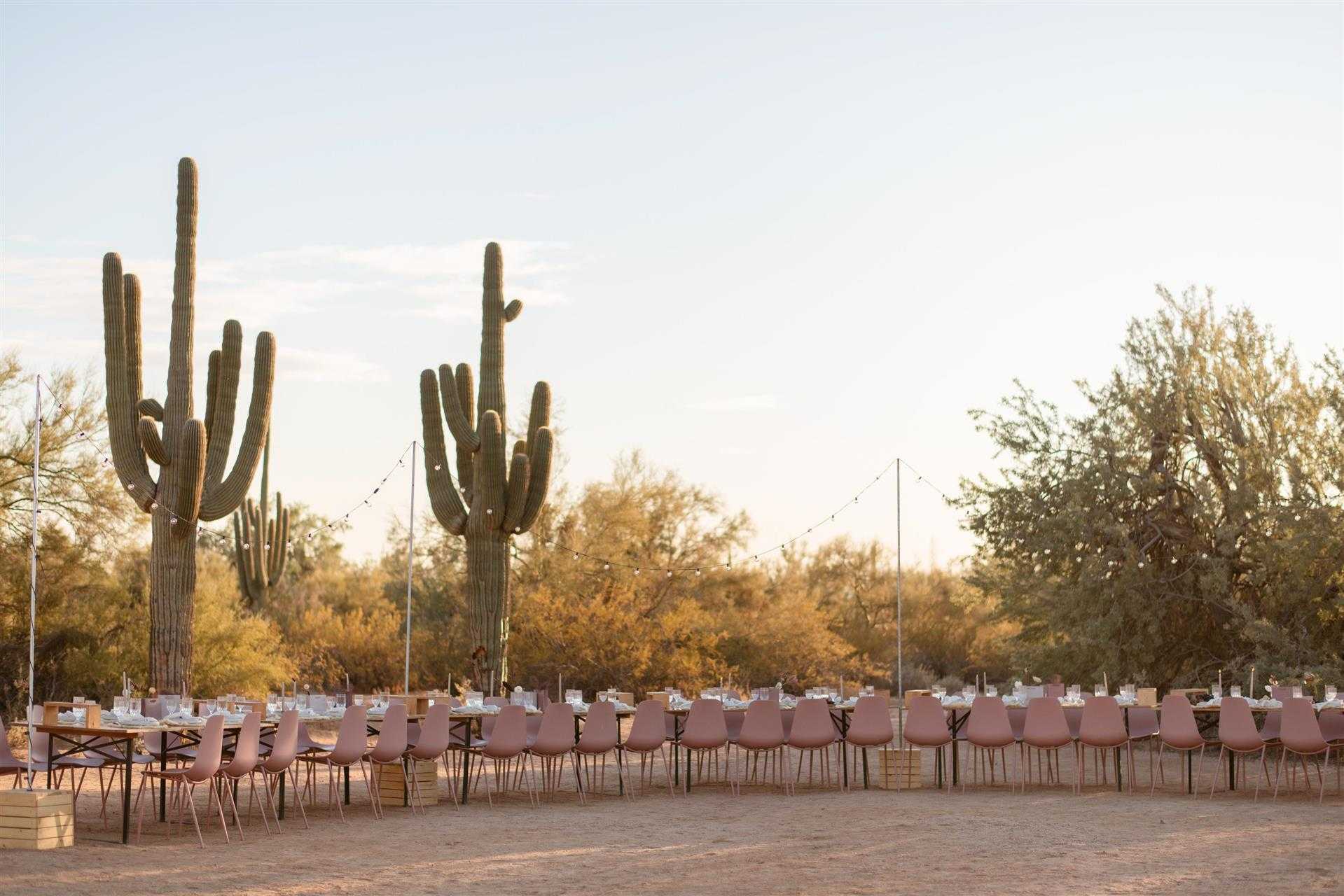 Saguaro Basin, Scottsdale, AZ