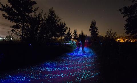 Ruta ciclista Van Gogh