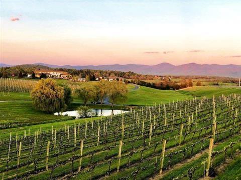 Virginia Wine Trail