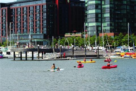 Kayaks and Stand-Up Paddleboards Rental