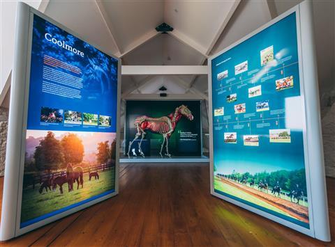 Fethard Horse Country Experience