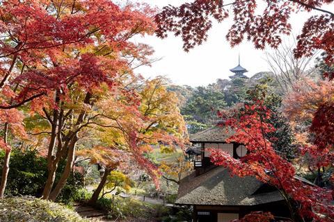 Yokohama Sankeien-tuin